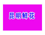 昆明鲜花