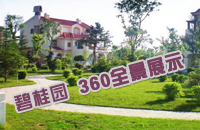 碧桂园360全景展示