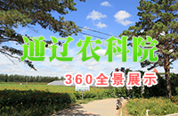 通辽农科院360全景展示