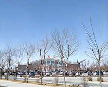 铁马春风科尔沁喜迎